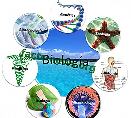 Определение на биологичните науки