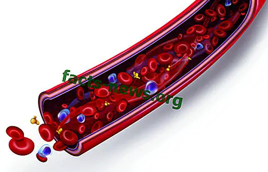 Definizione di tessuto sanguigno