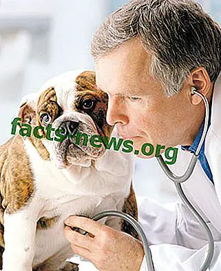 Definizione di Medicina veterinaria