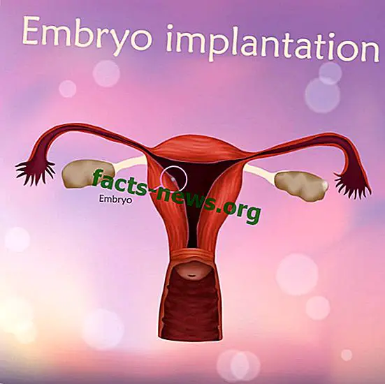 Embriju ligzdošana vai implantācija - definīcija, koncepcija un kas tas ir
