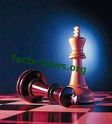Определение шахмат