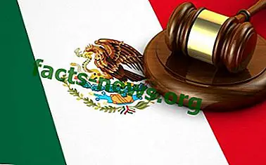 Peraturan Mexico (standard NOM dan NMX) - Definisi, Konsep dan Apa itu