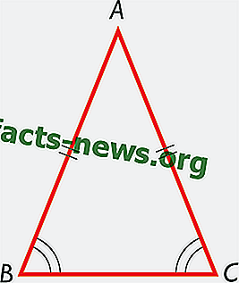 ما هو مثلث متساوي الساقين