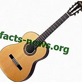Определение за китара