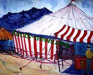 Определение Цирка