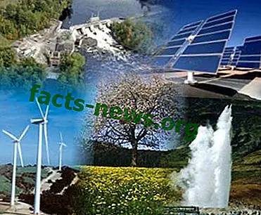 Определение на възобновяемите ресурси